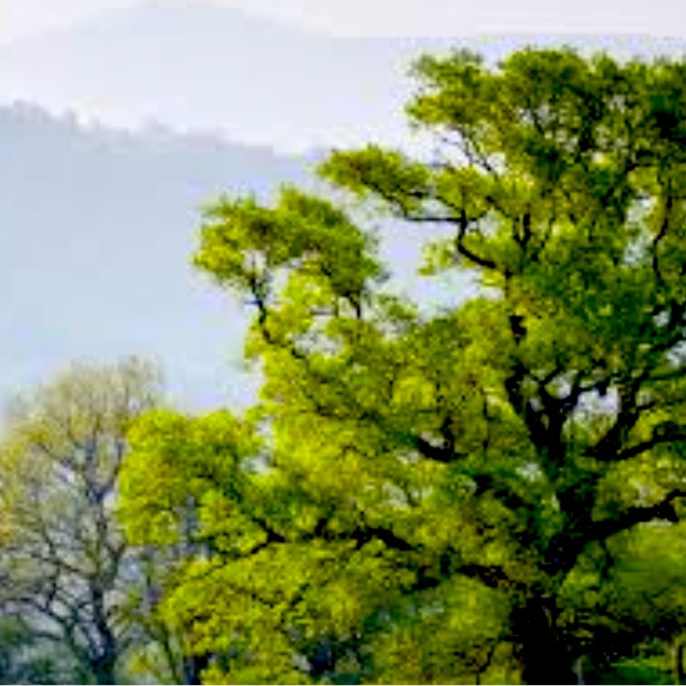 Make me an offer!😊